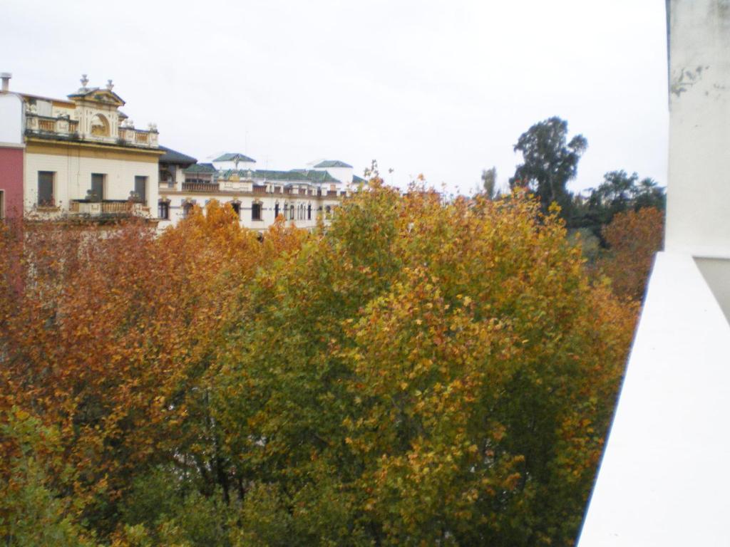 Apartamentos Murallas De Sevilla Exteriör bild